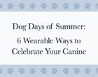 Dog Apparel and Accessories