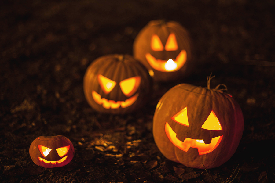 Halloween jack-o-lantern pumpkins on ground with brown autumn leaves