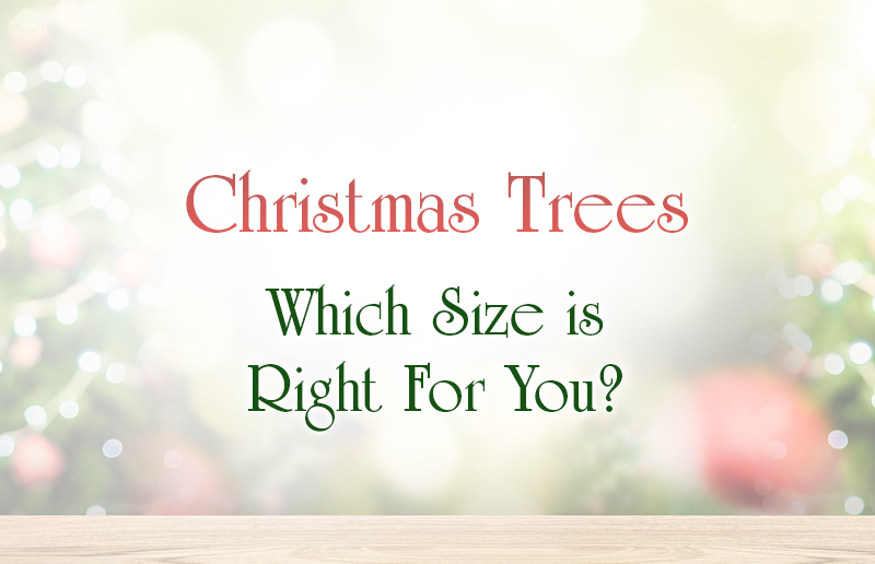 Christmas Trees: Which Size is Right for You?