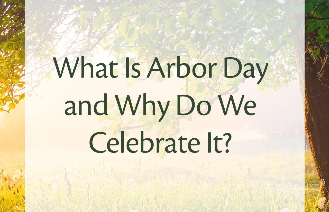 Arbor Day 101: A Brief Primer