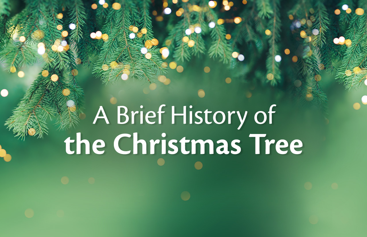 <strong>A Brief History of the Christmas Tree</strong>