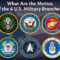 U.S. Military Mottos